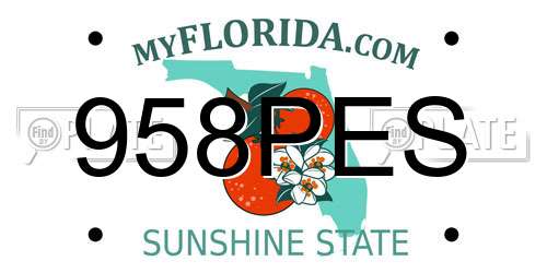 958PES Florida License Plate