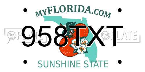 958TXT Florida License Plate