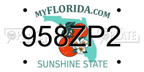 958ZP2 Florida License Plate