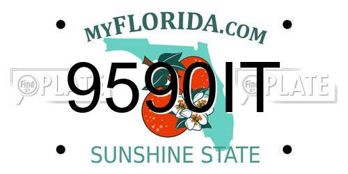 9590IT Florida License Plate