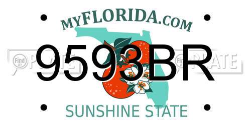 9593BR Florida License Plate