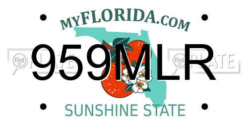 959MLR Florida License Plate