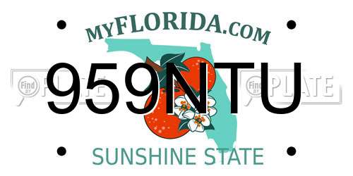 959NTU Florida License Plate