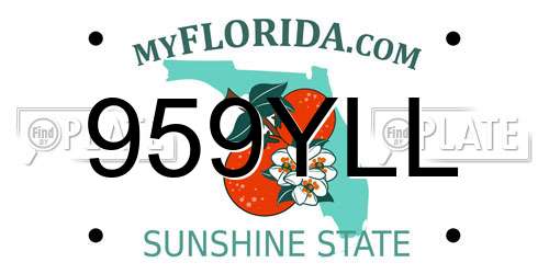 959YLL Florida License Plate