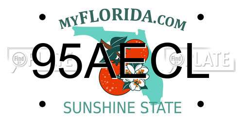95AECL Florida License Plate