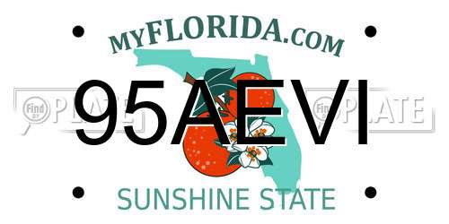 95AEVI Florida License Plate