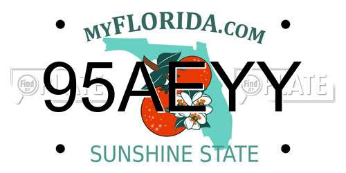 95AEYY Florida License Plate