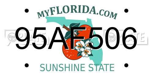 95AF506 Florida License Plate
