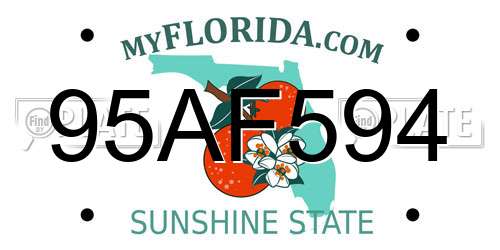 95AF594 Florida License Plate