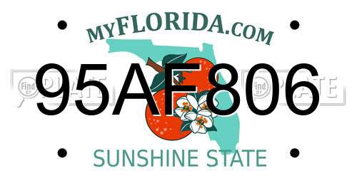 95AF806 Florida License Plate