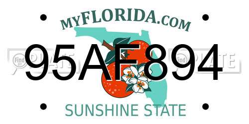 95AF894 Florida License Plate