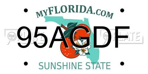 95AGDF Florida License Plate