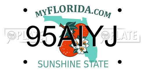 95AIYJ Florida License Plate