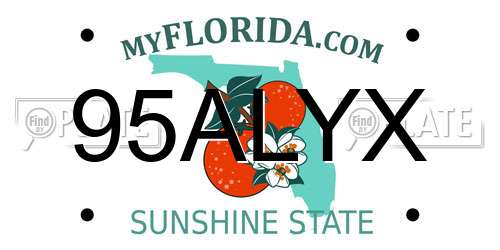 95ALYX Florida License Plate