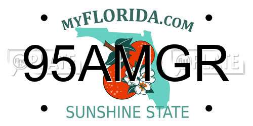 95AMGR Florida License Plate