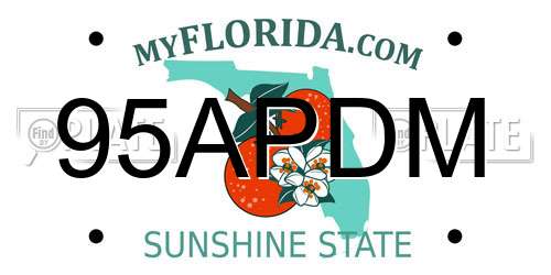 95APDM Florida License Plate