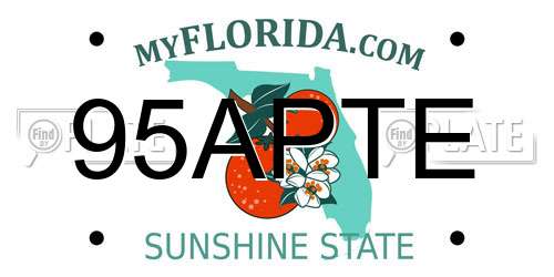 95APTE Florida License Plate