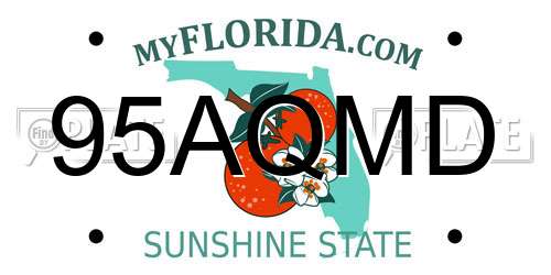 95AQMD Florida License Plate