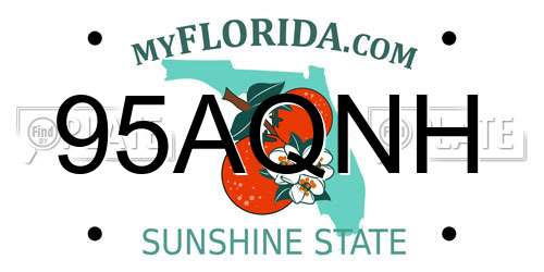 95AQNH Florida License Plate