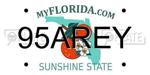 95AREY Florida License Plate