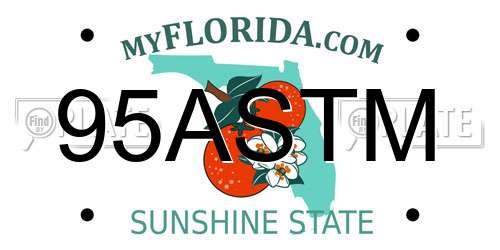 95ASTM Florida License Plate
