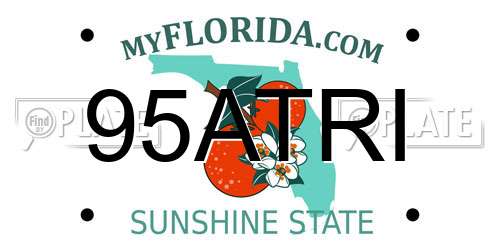 95ATRI Florida License Plate