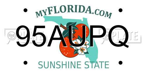 95AUPQ Florida License Plate