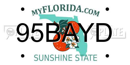 95BAYD Florida License Plate