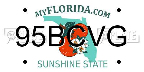 95BCVG Florida License Plate