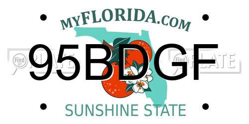 95BDGF Florida License Plate