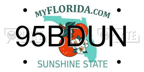 95BDUN Florida License Plate