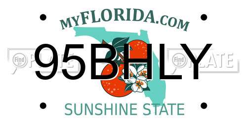 95BHLY Florida License Plate