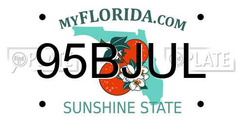 95BJUL Florida License Plate