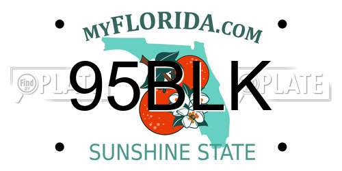 95BLK Florida License Plate