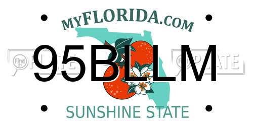 95BLLM Florida License Plate
