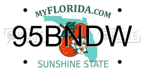 95BNDW Florida License Plate