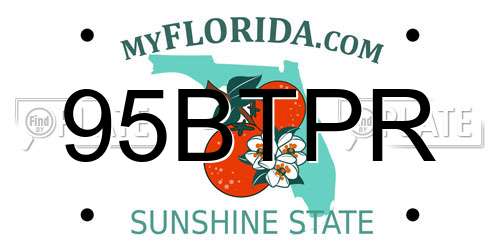 95BTPR Florida License Plate