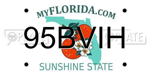 95BVIH Florida License Plate