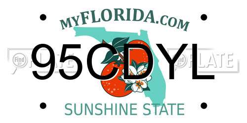 95CDYL Florida License Plate