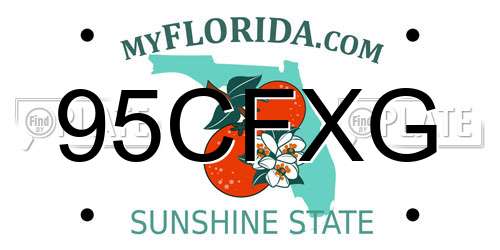 95CFXG Florida License Plate