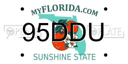 95DDU Florida License Plate