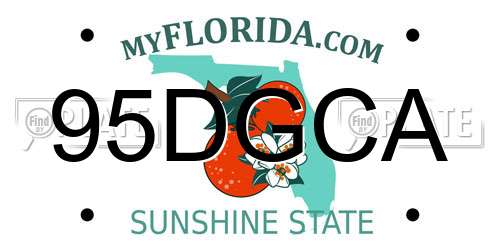 95DGCA Florida License Plate