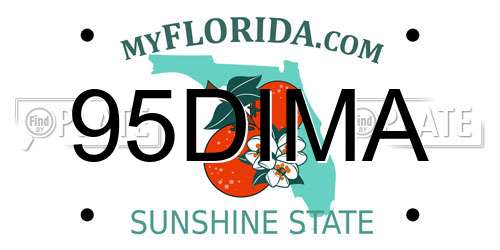95DIMA Florida License Plate