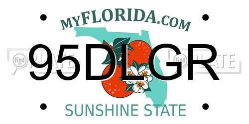 95DLGR Florida License Plate