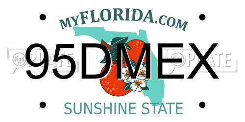 95DMEX Florida License Plate
