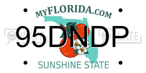 95DNDP Florida License Plate