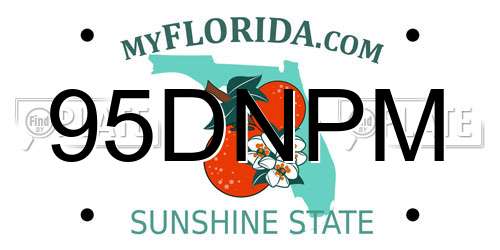 95DNPM Florida License Plate