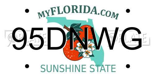 95DNWG Florida License Plate