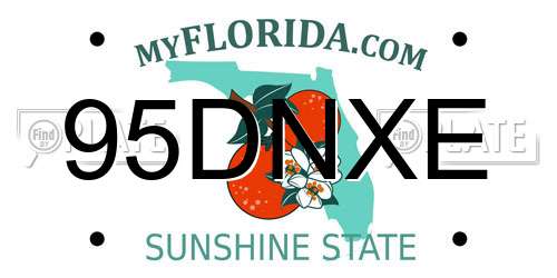 95DNXE Florida License Plate