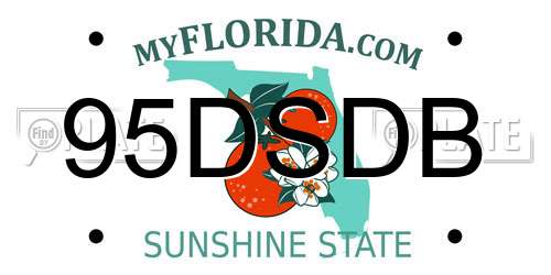 95DSDB Florida License Plate